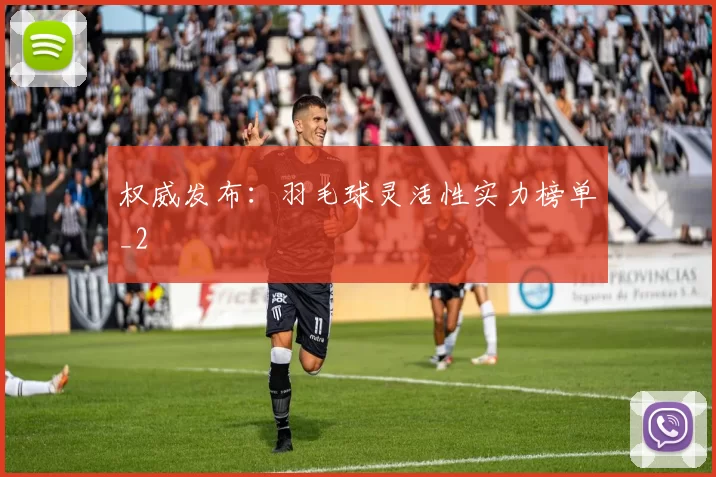 权威发布：羽毛球灵活性实力榜单_2