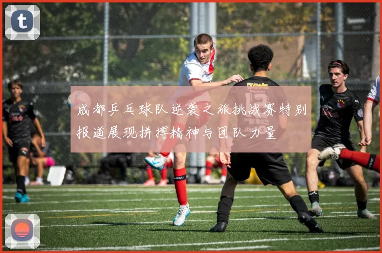 成都乒乓球队逆袭之旅挑战赛特别报道展现拼搏精神与团队力量